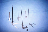 IVF India
