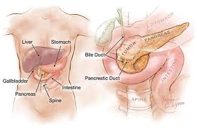 Pancreatic cancer surgery India