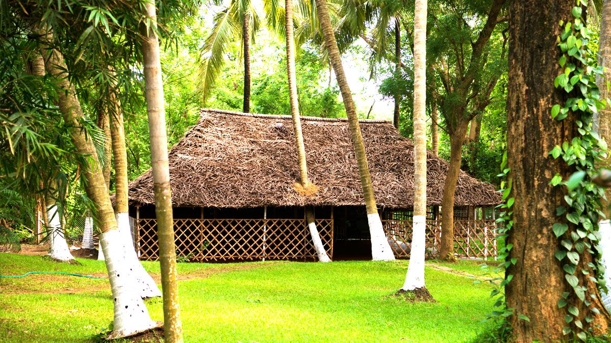 Open-Air Yoga And Meditation Shala Overlooking Gardens