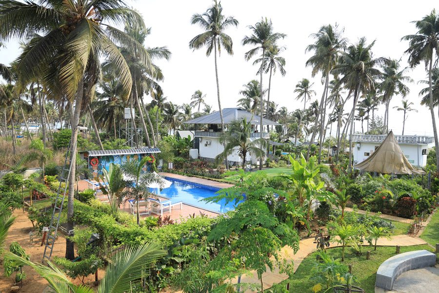 Swimming Pool And Palm Gardens At Veda5 Ayurveda Living Village, Kerala