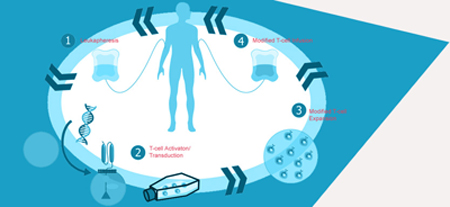 Fight Your Battle against Cancer with Affordable Price and High Success Rates with Forerunners Healthcare