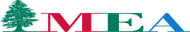 Middle East Airlines