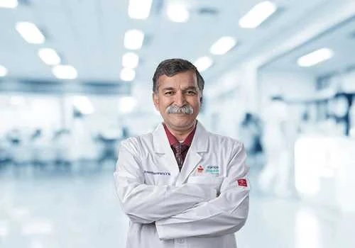Dr. Anantheswar Y N
