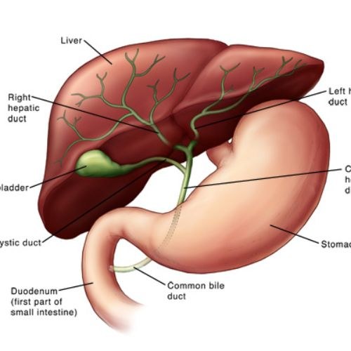 Best Cost Biliary Atresia Kasai Procedure Best Surgeons Top Liver Hospitals India