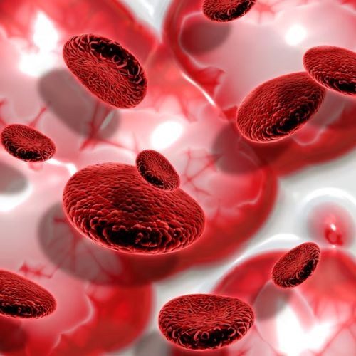 Blood Cancer Surgery In India