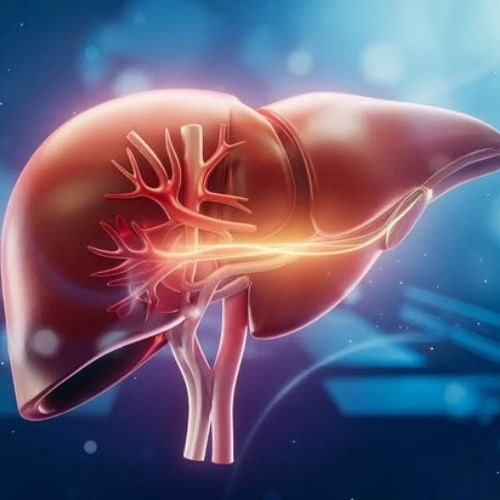 How is Liver Transplantation Procedure done?